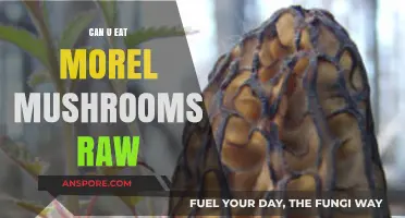 Can You Eat Morel Mushrooms Raw? Risks and Safe Preparation Tips