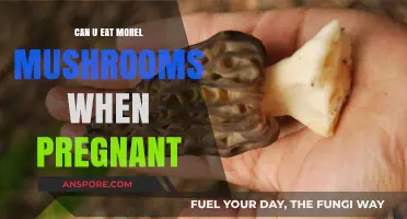 Pregnancy and Morel Mushrooms: Safe to Eat or Best Avoided?