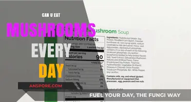 Daily Mushroom Consumption: Benefits, Risks, and Nutritional Insights Explored