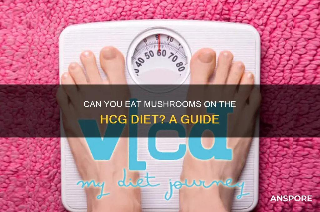 can u eat mushrooms on hcg diet