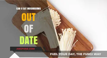 Can You Safely Eat Expired Mushrooms? Risks and Tips Explained