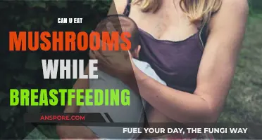 Breastfeeding and Mushrooms: Safe or Risky for New Moms?