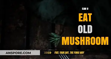 Are Old Mushrooms Safe to Eat? Risks and Tips