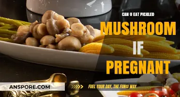Pregnancy and Pickled Mushrooms: Safe or Risky to Eat?