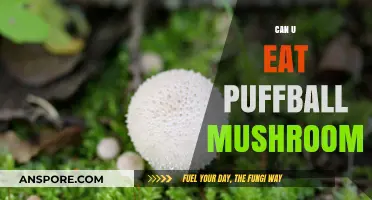Can You Safely Eat Puffball Mushrooms? A Tasty Guide