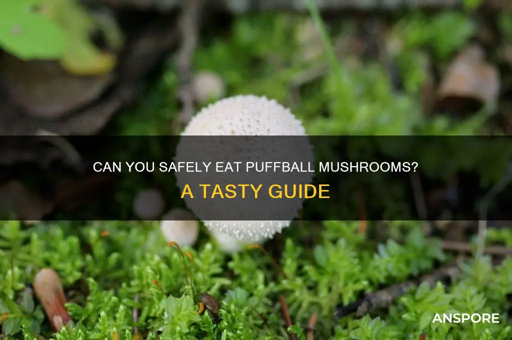 can u eat puffball mushrooms