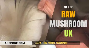 Can You Safely Eat Raw Mushrooms in the UK? A Guide