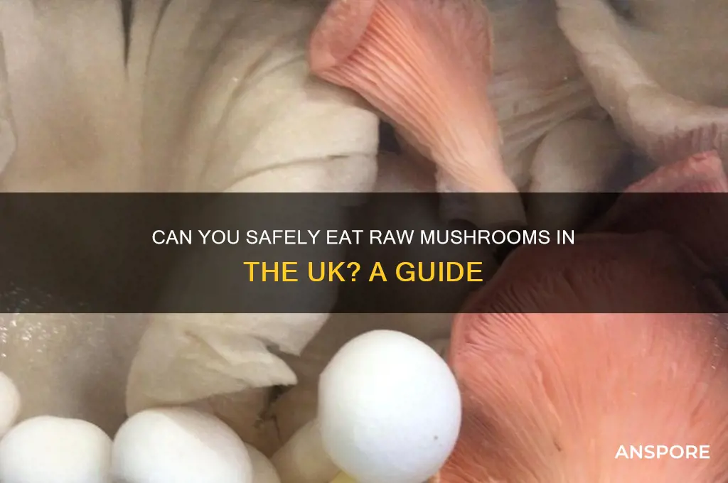 can u eat raw mushrooms uk