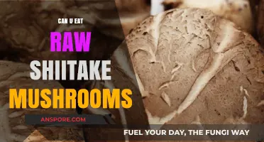 Can You Eat Raw Shiitake Mushrooms? Safety and Tips