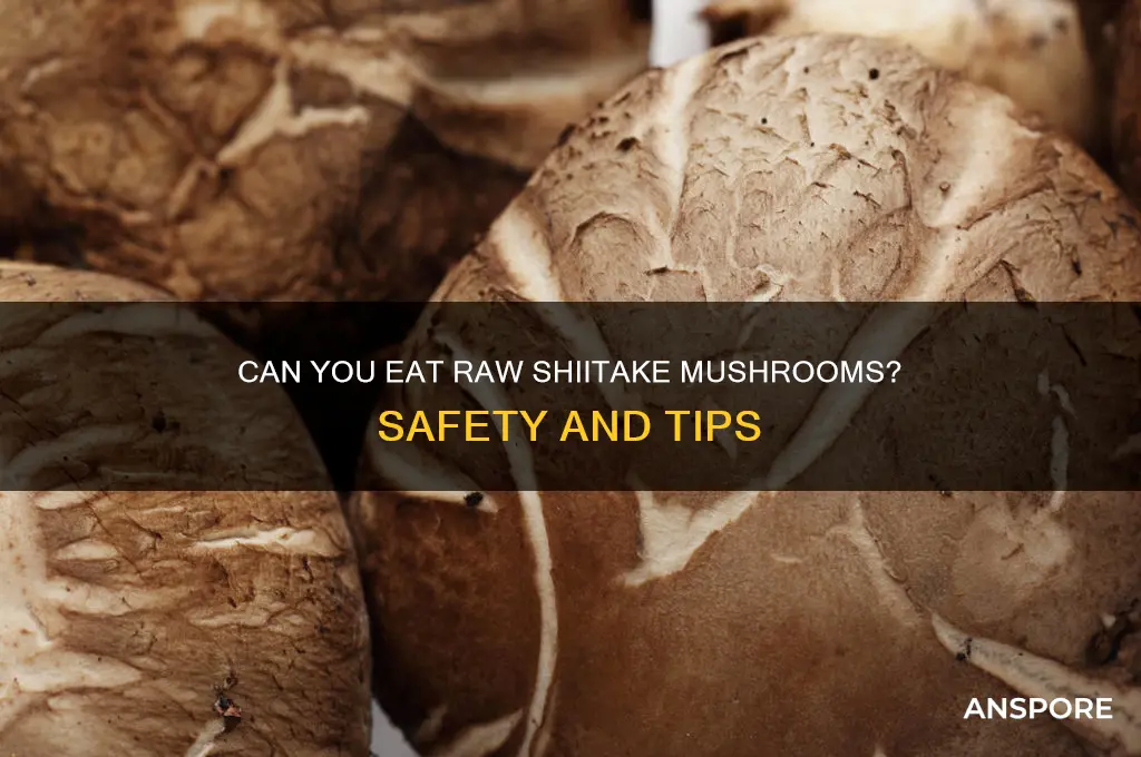 can u eat raw shiitake mushrooms