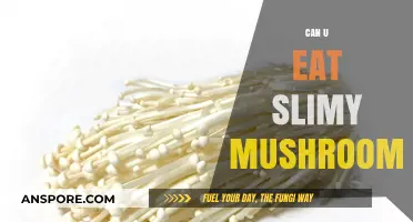 Are Slimy Mushrooms Safe to Eat? A Fungal Food Guide