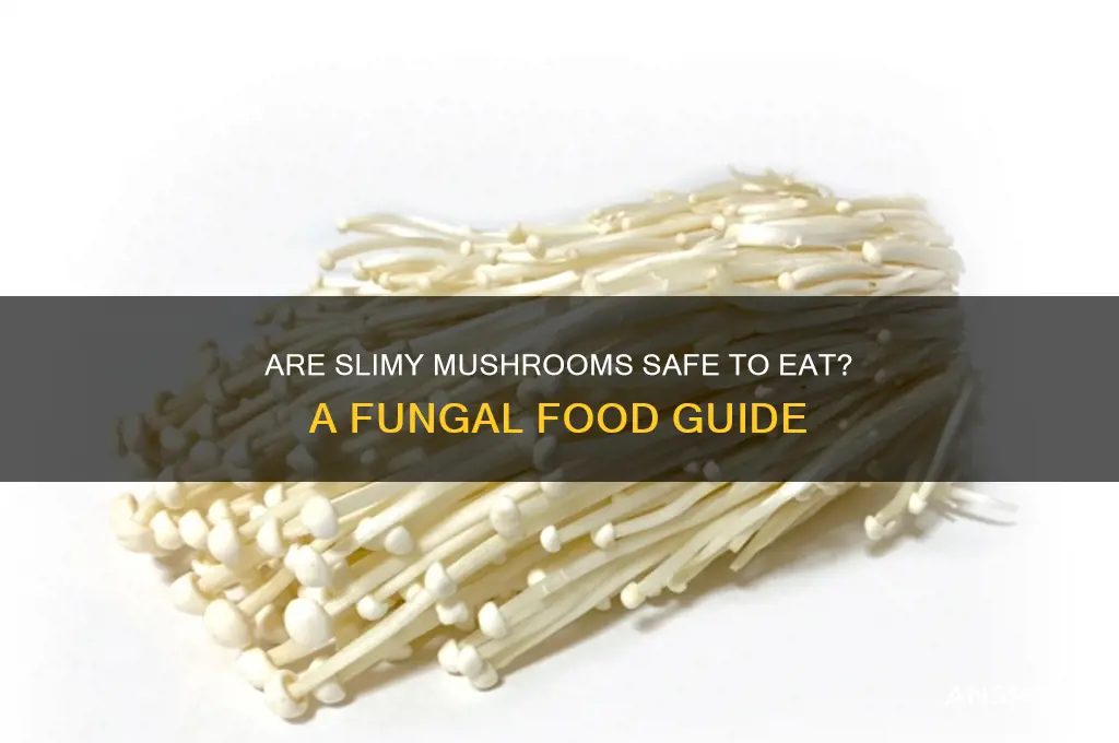 can u eat slimy mushrooms