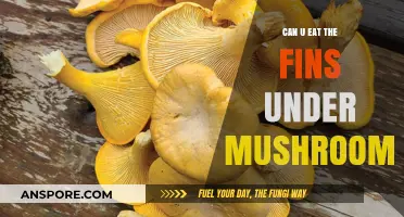 Can You Eat Mushroom Fins? Exploring Edible Fungus Parts Safely