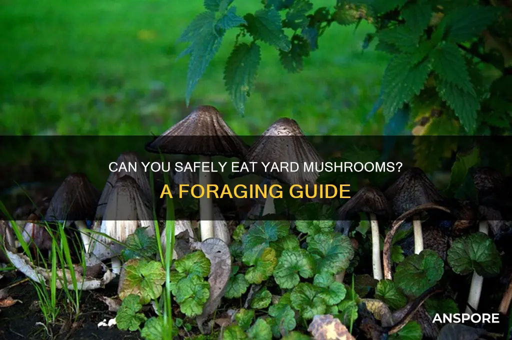 can u eat the mushrooms in your yard