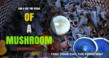 Can You Eat Mushroom Stems? A Guide to Edible Parts