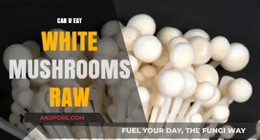 Can You Eat White Mushrooms Raw? Safety and Tips Explained