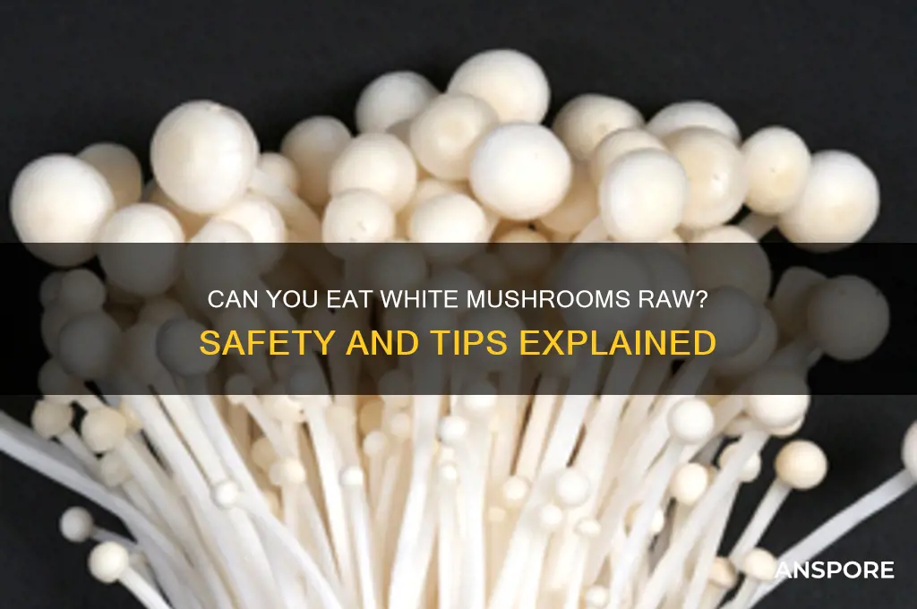 can u eat white mushrooms raw