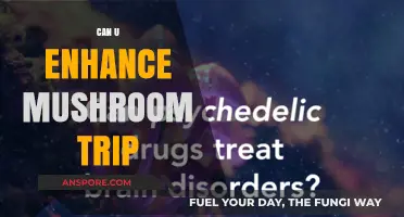 Enhancing Your Mushroom Trip: Tips for a Deeper Psychedelic Experience