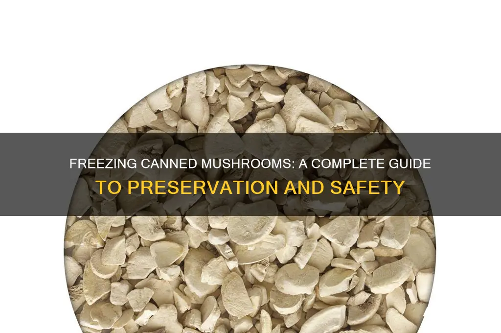 can u freeze canned mushrooms