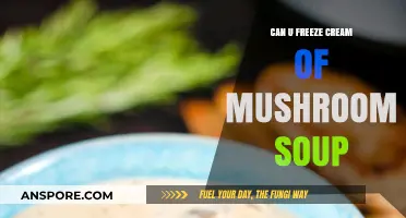 Can You Freeze Cream of Mushroom Soup? A Complete Guide