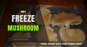 Can You Freeze Mushrooms? A Complete Guide to Preserving Freshness