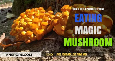 Magic Mushrooms and Parasites: Unraveling the Risks of Consumption
