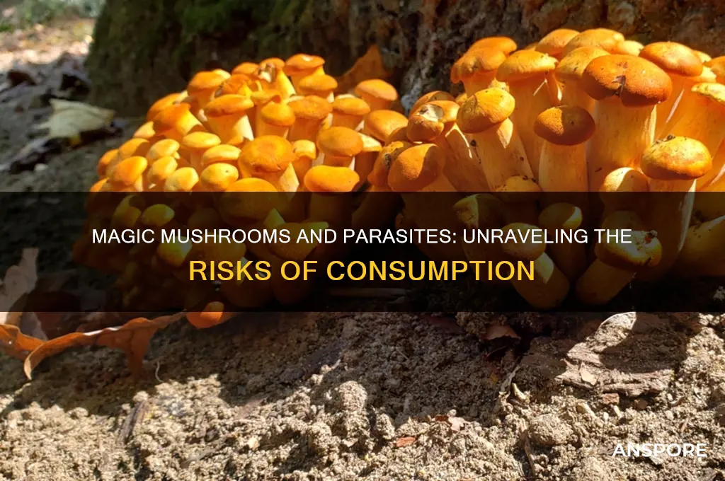 can u get a parasite from eating magic mushrooms