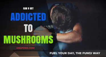 Exploring the Risks: Can You Get Addicted to Mushrooms?