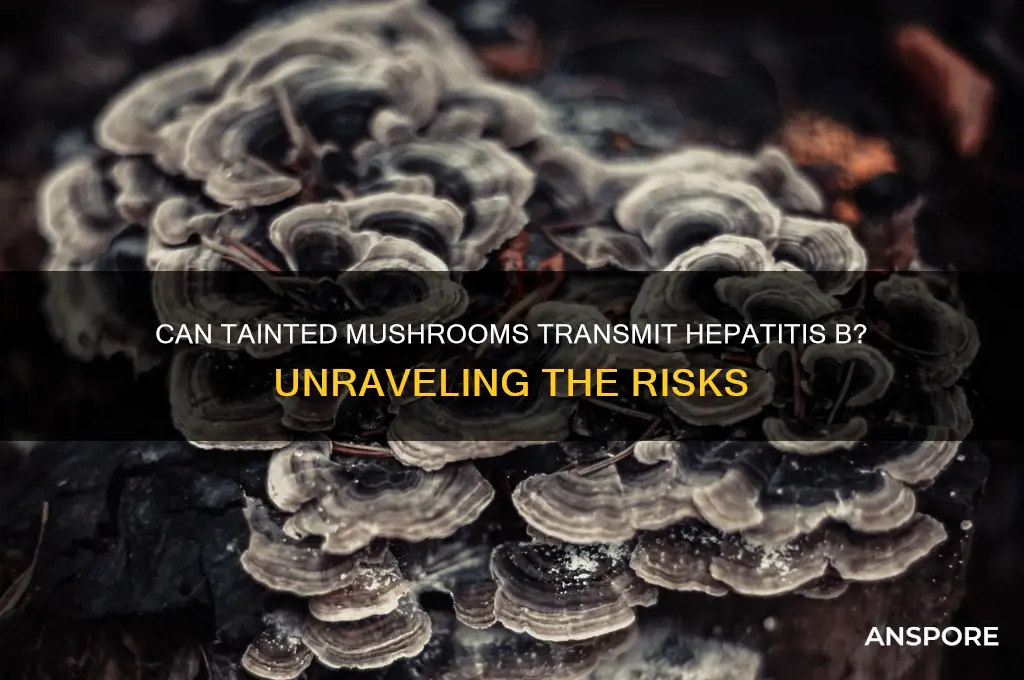 can u get hep b from tainted mushroom