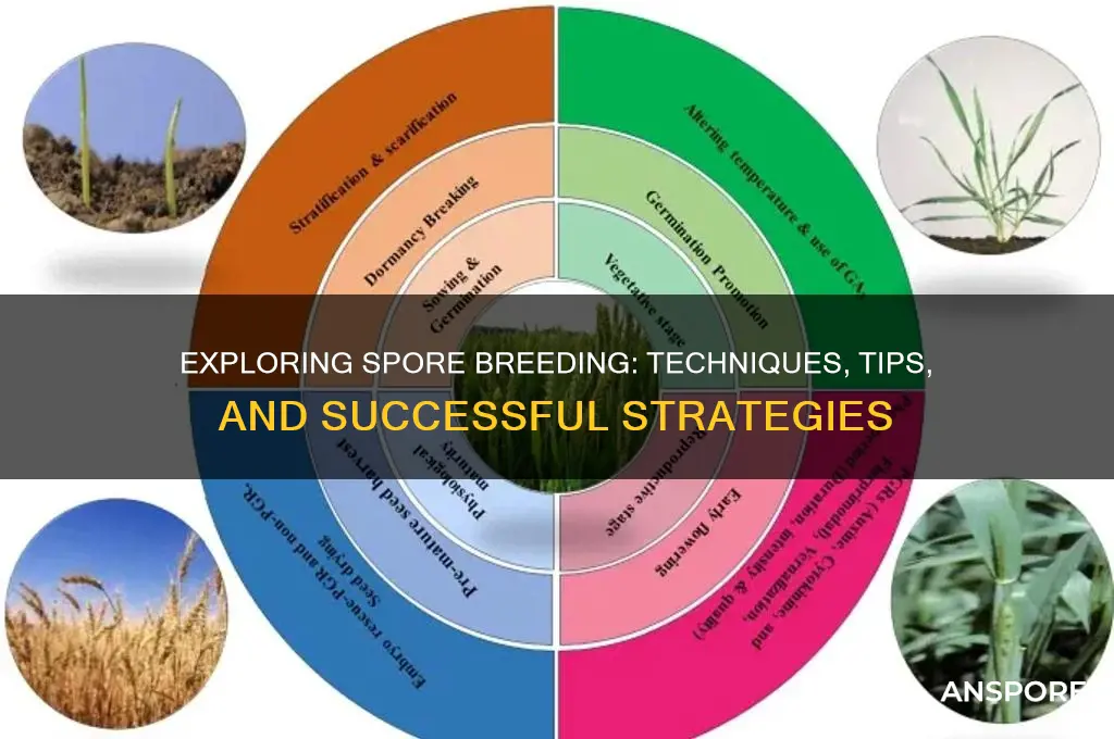 can u get spore breeding