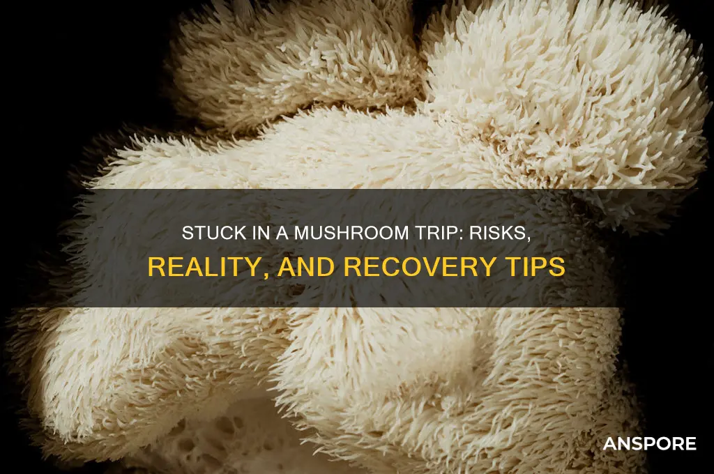 can u get stuck in a mushroom trip