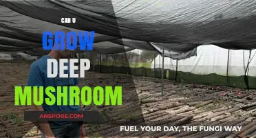 Growing Deep Mushrooms: Techniques, Challenges, and Success Tips