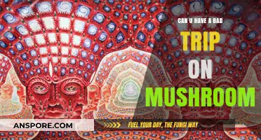 Understanding the Risks: Can You Have a Bad Trip on Mushrooms?