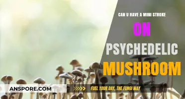 Psychedelic Mushrooms and Mini Strokes: Unraveling the Risks and Reality
