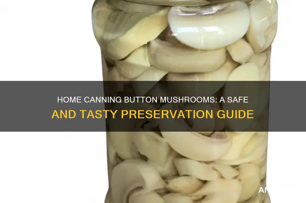 can u home can button mushrooms