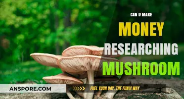 Profitable Mushroom Research: Unlocking Income Opportunities in Mycology