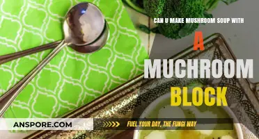 Can You Make Mushroom Soup with a Mushroom Block?