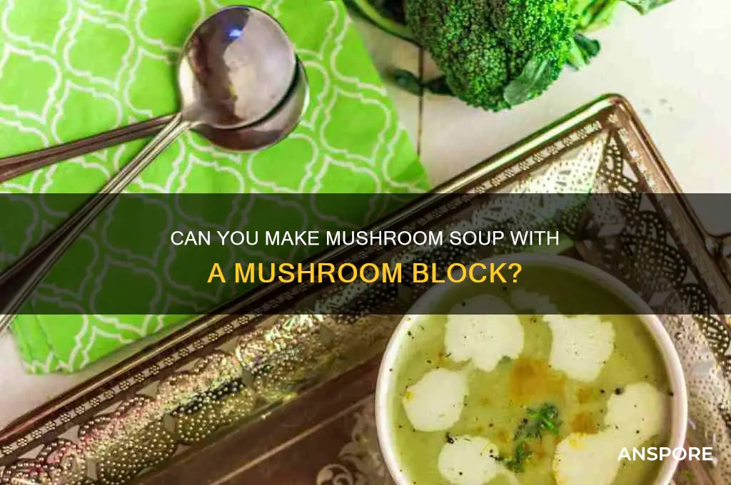 can u make mushroom soup with a muchroom block