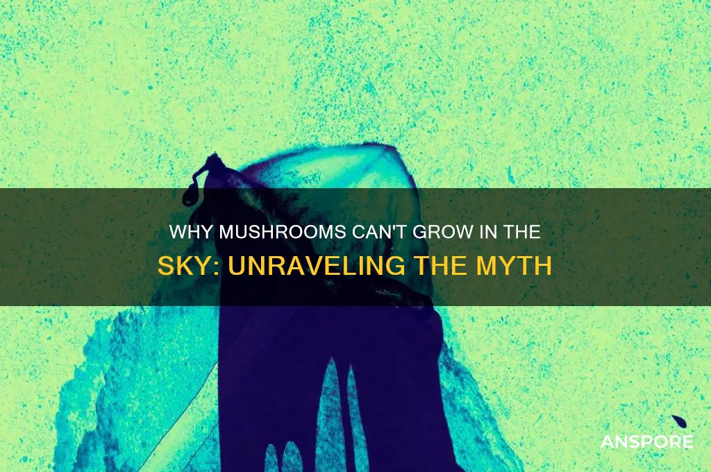 can u not place mushrooms in sky