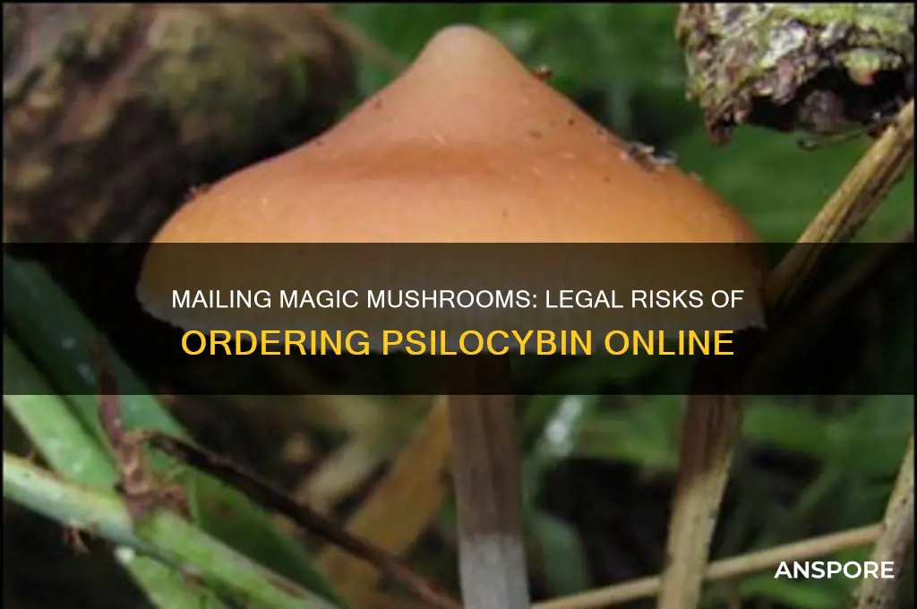 can u order psyilocybin mushrooms in the mail