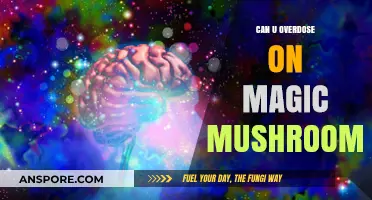 Magic Mushrooms Overdose: Risks, Symptoms, and Safety Precautions Explained