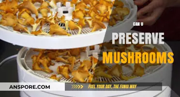 Preserving Mushrooms: Tips and Tricks for Long-Lasting Freshness
