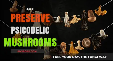 Preserving Psychedelic Mushrooms: Techniques, Safety, and Legal Considerations