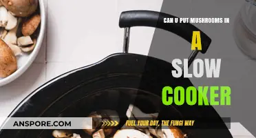 Slow Cooker Mushroom Magic: Tips for Perfectly Cooked Fungi