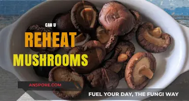 Reheating Mushrooms: Safe Practices and Tips for Delicious Results