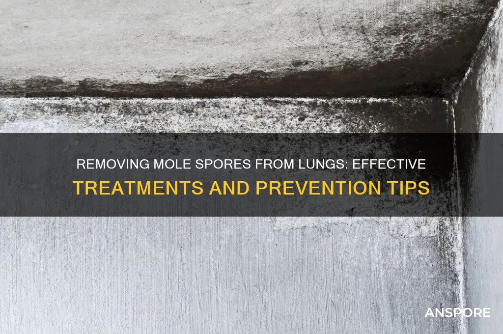 can u rid mole spores in lungs