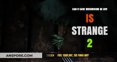 Life is Strange 2: Saving Mushroom – A Comprehensive Guide