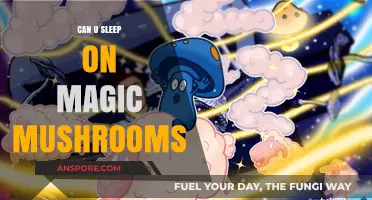 Sleeping on Shrooms: Exploring the Effects of Magic Mushrooms on Rest