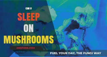 Sleeping on Mushrooms: Benefits, Risks, and What You Need to Know
