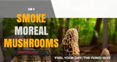 Can You Smoke Morel Mushrooms? Facts, Risks, and Safe Consumption Tips